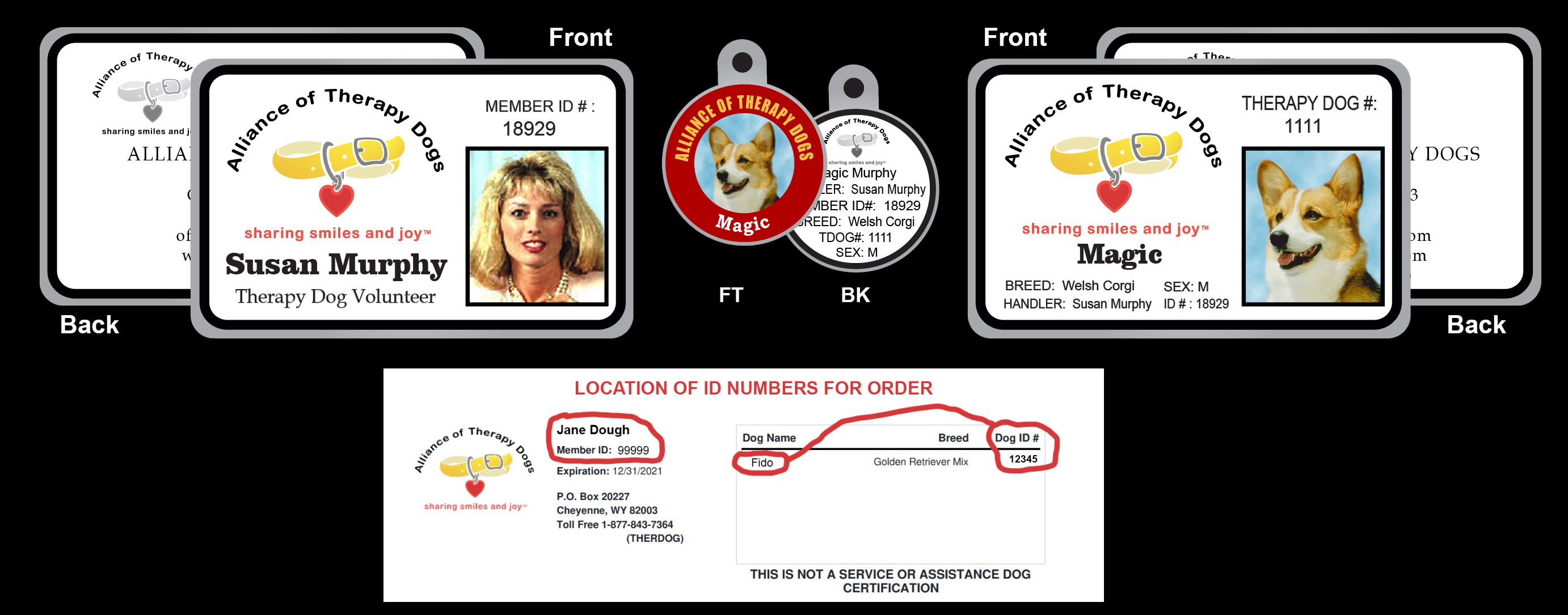 Therapy dog tags sale